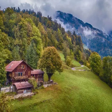 Heidi With Panoramic View Rossiniere