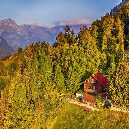 Heidi With Panoramic View Apartment Rossiniere
