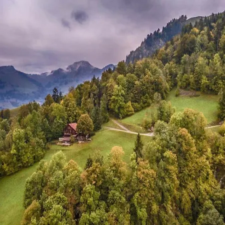Heidi With Panoramic View Apartment Rossiniere